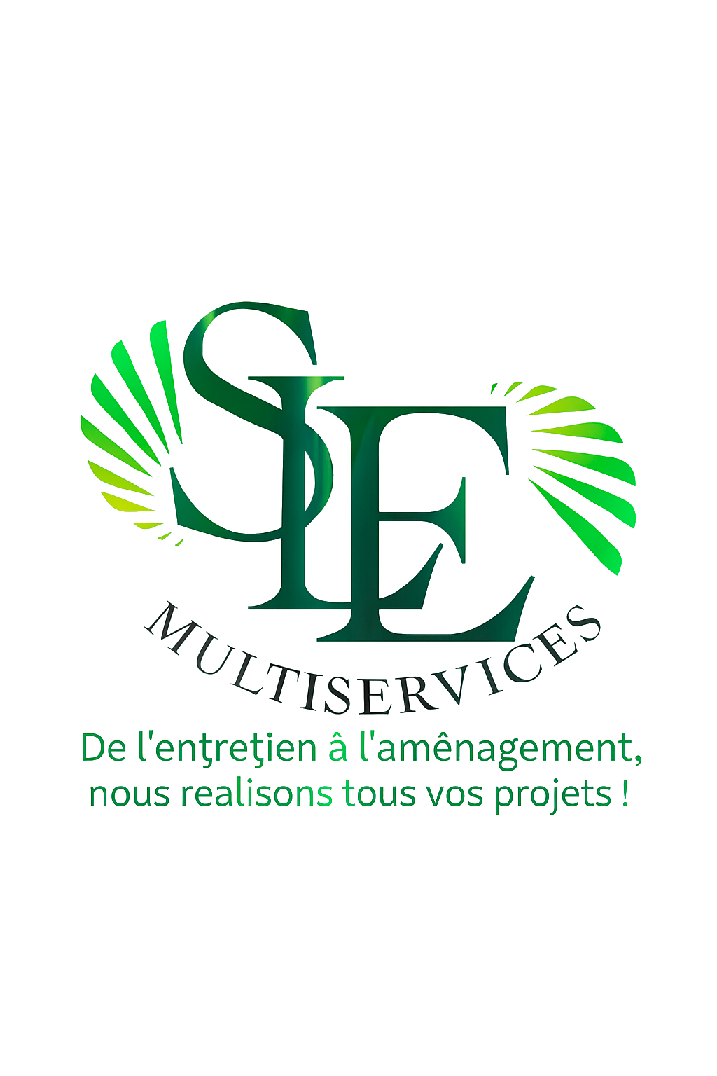sle multiservices